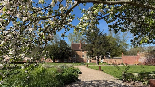 Blossom at Coventry Charterhouse